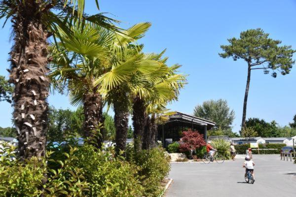 Mobil home XXL - Bord LAC - CAMPING Les Viviers - Lège cap ferret Bagian luar foto